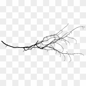 Free Png Tree Branch Png Images Transparent - Bransh Transparent, Png Download - png tree images with transparent background