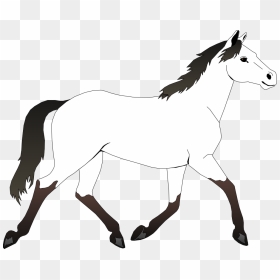 Black And White Horses - Horse Clipart Black And White, HD Png Download - horses png