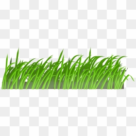 Grass Clip Art, HD Png Download - garden grass png
