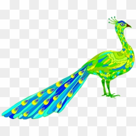 Peacock Drawing Side View, HD Png Download - single peacock feathers png