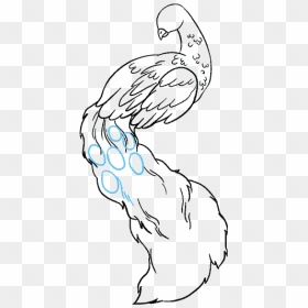 How To Draw Peacock - White Peacock Drawing Easy, HD Png Download - single peacock feathers png