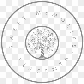 Sweet Memories Placenta Services - Circle, HD Png Download - sweet memories png