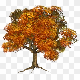 Fall Tree Clipart Png Royalty Free Stock Large Fall - Free Png Autumn Transparent Background, Png Download - png tree images with transparent background