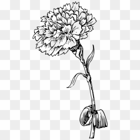 Transparent Flower With Stem Png - Carnation Tattoo Designs, Png Download - marigold png
