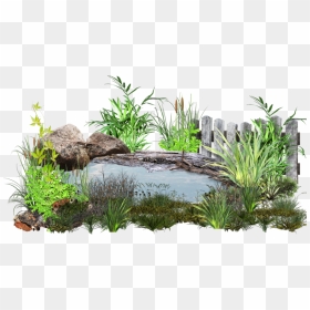 Water Garden Png - Pond Transparent Png, Png Download - garden grass png