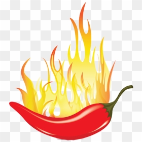 Chili Mexican Cuisine Capsicum Spice Fire Transprent - Spicy Chilli Clip Art, HD Png Download - chipotle png