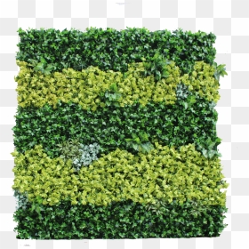 Green - Hedge, HD Png Download - garden grass png