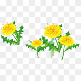 Dandelion Clipart Marigold - Floral Border Yellow Transparent, HD Png Download - marigold png