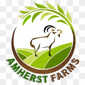 Goat, HD Png Download - indian goat png