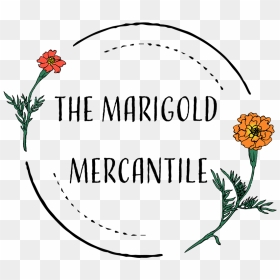Bud Drawing Marigold - Rose, HD Png Download - marigold png