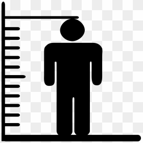 Height And Weight - Height Clipart, HD Png Download - weight png