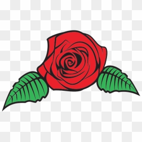 Red Rose Flower - Bouquet Of Flowers Drawing, HD Png Download - flower plant top view png