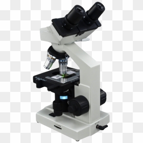 Microscope Transparent Background, HD Png Download - microscope png