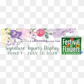 Scfof2020 Siteheader Topiaries - Garden Roses, HD Png Download - flower plant top view png
