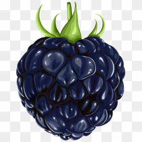 Blackberry Fruit Png Clipart - Fruit Clipart Blackberry, Transparent Png - fruits clipart png