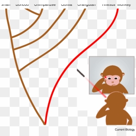 Used A Mildly Irritating Red Laser In Combination With - Cartoon, HD Png Download - red laser png