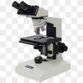 Bilderesultat For Image Bakgrunnsmateriale - Convex Lens Used In Microscope, HD Png Download - microscope png