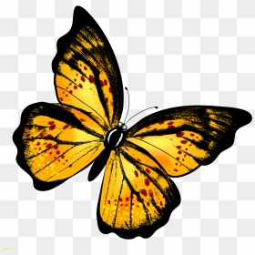Monarch Butterfly Clipart Hindu God - Transparent Background Butterfly Png, Png Download - hindu god png