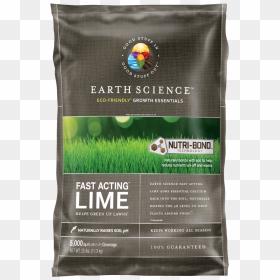 Product - Pound, HD Png Download - garden grass png