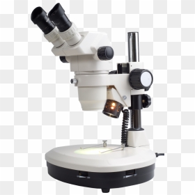 Stereo Microscope No Background, HD Png Download - microscope png