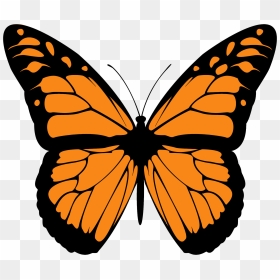 Monarch Butterfly Png High-quality Image - Monarch Butterfly Clipart, Transparent Png - monarch butterfly png