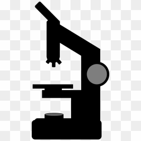 Generic Microscope Depiction, HD Png Download - microscope png