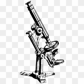 Vintage Microscope Clip Arts - Old Microscope Drawing, HD Png Download - microscope png