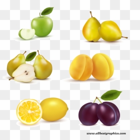 Frutas De Todo Tipo, HD Png Download - fruits clipart png