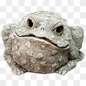 Decorative Garden Toad Clip Arts - Oak Toad, HD Png Download - toad png