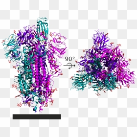 6vsb Spike Protein Sars Cov 2 Homotrimer - Spike Protein Png, Transparent Png - spike png