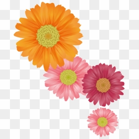 Fresh Orange Hand Painted Chrysanthemum Decorative - Summer Flower Png, Transparent Png - flower plant top view png