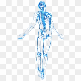 Human Body Png Transparent, Png Download - body png
