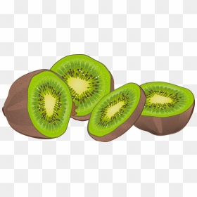 Clipart Kiwi Fruit - Transparent Background Kiwi Fruit Clipart, HD Png Download - fruits clipart png