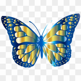 Monarch Butterfly 2 Variation - Butterfly Picture For Kids, HD Png Download - monarch butterfly png