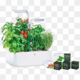 Indoor Garden, Véritable Smart, White Veritable Vpot - Veritable Smart Garden, HD Png Download - garden grass png