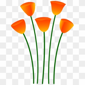 California Poppy - Single Flower Clip Art, HD Png Download - poppy png