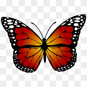 Butterfly, Monarch, Abstract, Artistic Butterfly, Monarch, - Butterfly Picture For Kids, HD Png Download - monarch butterfly png