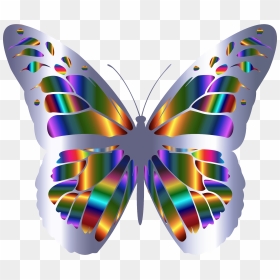 Transparent Butterflies Clipart Border - Monarch Butterfly, HD Png Download - monarch butterfly png