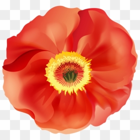 Poppy Flower Clipart Svg Royalty Free Poppy Png Clip - Transparent Clipart Poppy Flower, Png Download - poppy png