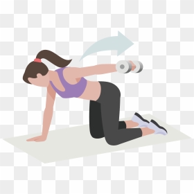 Squat Vector Human Exercise - Transparent Exercise Vector Png, Png Download - exercise png