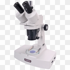 Optika Microscope B 159, HD Png Download - Vhv