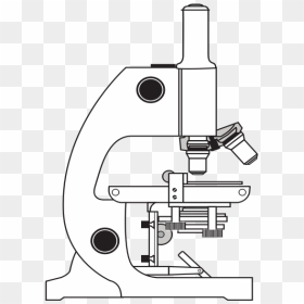 Simple Microscope - Use A Light Microscope, HD Png Download - microscope png