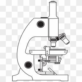 Microscope Png - Compound Light Microscope Transparent, Png Download - vhv