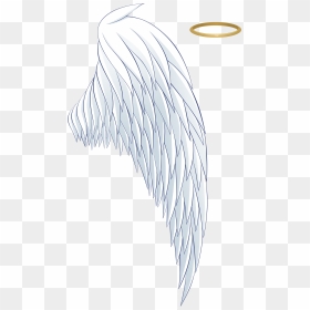 #asa #png #coroa #angels - Transparent Background Angel Wings And Halo Png, Png Download - coroa png