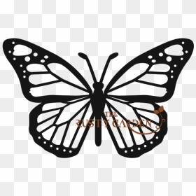 Monarch Butterfly Png, Transparent Png - monarch butterfly png