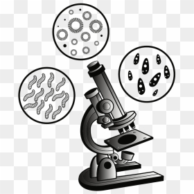 Microscope And Virus Clipart - Transparent Background Microscope Clipart, HD Png Download - microscope png