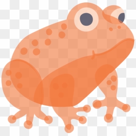 Transparent Animals Toad Anaxyrus Snout For Frog For - Eastern Spadefoot, HD Png Download - toad png