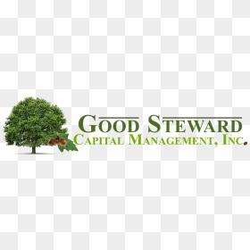 Good Steward Capital Management, Inc - Graphics, HD Png Download - costco logo png
