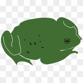 Toad Svg Clip Arts - Frogs, HD Png Download - toad png