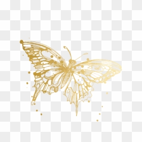 Butterfly Tattoos Temporary Accept Watercolor Tattly - Butterfly Drawing Png Transparent, Png Download - monarch butterfly png